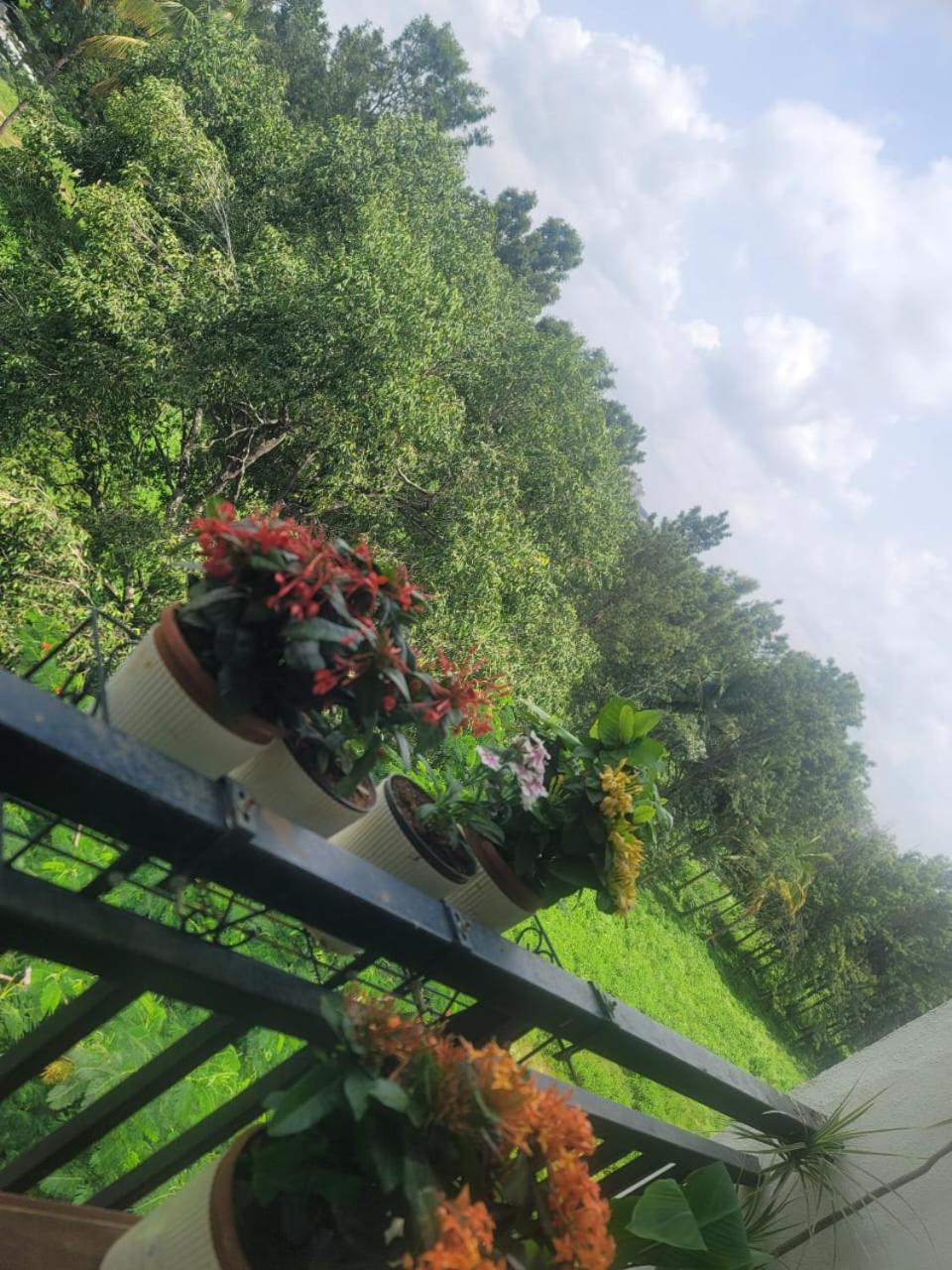 Serene Home Stay Бангалор Экстерьер фото